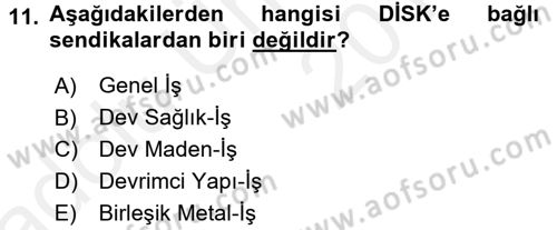 Endüstri Sosyolojisi Dersi 2017 - 2018 Yılı 3 Ders Sınav Soruları 11. Soru