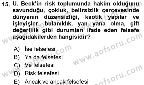 Endüstri Sosyolojisi Dersi 2017 - 2018 Yılı 3 Ders Sınav Soruları 15. Soru