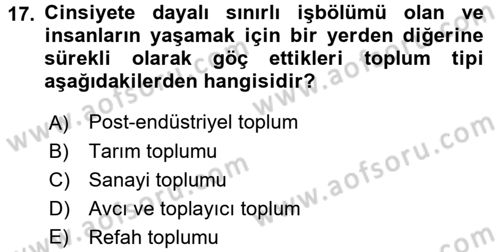 Endüstri Sosyolojisi Dersi 2017 - 2018 Yılı 3 Ders Sınavı 17. Soru