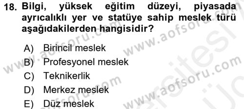Endüstri Sosyolojisi Dersi 2017 - 2018 Yılı 3 Ders Sınav Soruları 18. Soru