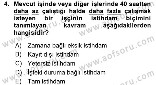 Endüstri Sosyolojisi Dersi 2017 - 2018 Yılı 3 Ders Sınav Soruları 4. Soru