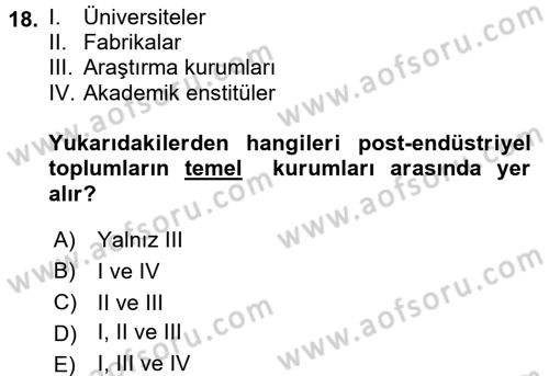 Endüstri Sosyolojisi Dersi 2017 - 2018 Yılı (Final) Dönem Sonu Sınav Soruları 18. Soru