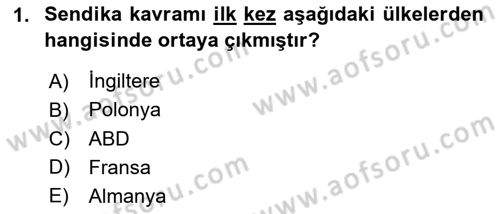 Endüstri Sosyolojisi Dersi 2018 - 2019 Yılı 3 Ders Sınav Soruları 1. Soru