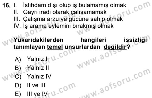 Endüstri Sosyolojisi Dersi 2018 - 2019 Yılı 3 Ders Sınav Soruları 16. Soru
