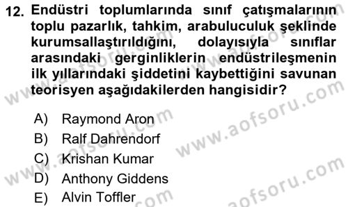 Endüstri Sosyolojisi Dersi 2018 - 2019 Yılı (Vize) Ara Sınav Soruları 12. Soru