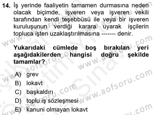 Endüstri Sosyolojisi Dersi 2018 - 2019 Yılı (Vize) Ara Sınav Soruları 14. Soru