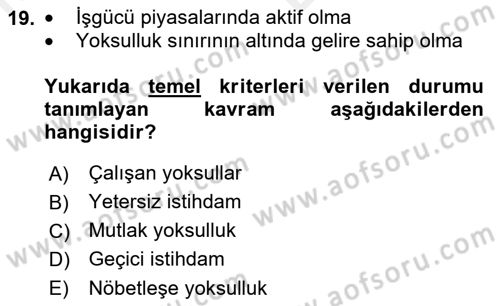 Endüstri Sosyolojisi Dersi 2018 - 2019 Yılı (Vize) Ara Sınav Soruları 19. Soru