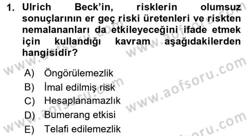 Endüstri Sosyolojisi Dersi 2018 - 2019 Yılı (Final) Dönem Sonu Sınavı 1. Soru