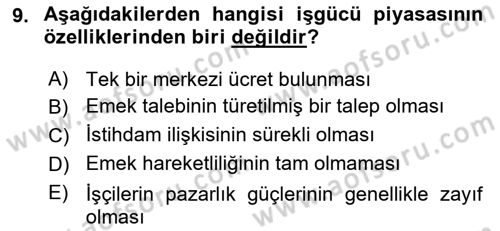 Endüstri Sosyolojisi Dersi 2018 - 2019 Yılı (Final) Dönem Sonu Sınavı 9. Soru