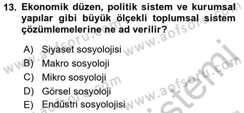 Endüstri Sosyolojisi Dersi 2018 - 2019 Yılı Yaz Okulu Sınavı 13. Soru