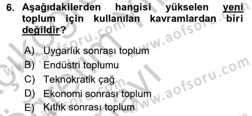 Endüstri Sosyolojisi Dersi 2018 - 2019 Yılı Yaz Okulu Sınavı 6. Soru