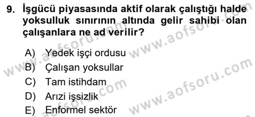 Endüstri Sosyolojisi Dersi 2018 - 2019 Yılı Yaz Okulu Sınavı 9. Soru