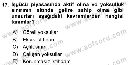 Endüstri Sosyolojisi Dersi 2021 - 2022 Yılı (Vize) Ara Sınav Soruları 17. Soru