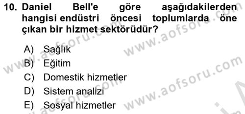 Endüstri Sosyolojisi Dersi 2021 - 2022 Yılı Yaz Okulu Sınav Soruları 10. Soru