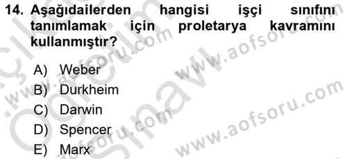 Endüstri Sosyolojisi Dersi 2021 - 2022 Yılı Yaz Okulu Sınav Soruları 14. Soru