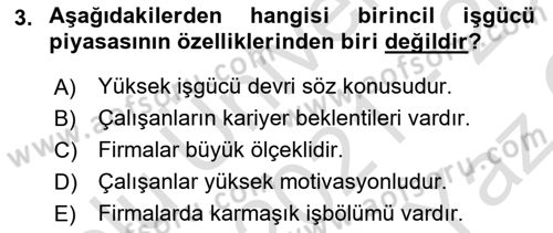 Endüstri Sosyolojisi Dersi 2021 - 2022 Yılı Yaz Okulu Sınav Soruları 3. Soru