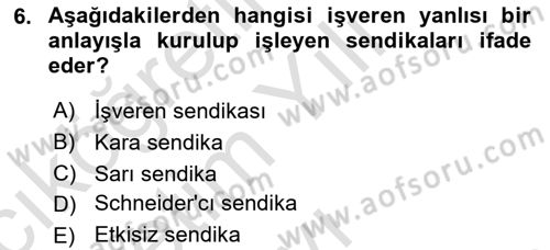 Endüstri Sosyolojisi Dersi 2021 - 2022 Yılı Yaz Okulu Sınav Soruları 6. Soru