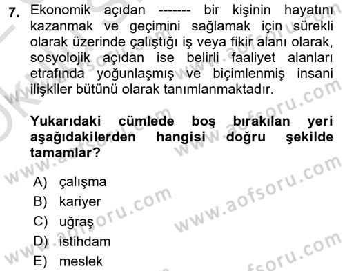 Endüstri Sosyolojisi Dersi 2021 - 2022 Yılı Yaz Okulu Sınav Soruları 7. Soru