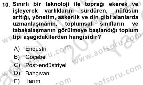 Endüstri Sosyolojisi Dersi 2022 - 2023 Yılı Yaz Okulu Sınav Soruları 10. Soru
