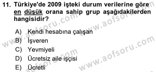Endüstri Sosyolojisi Dersi 2022 - 2023 Yılı Yaz Okulu Sınav Soruları 11. Soru