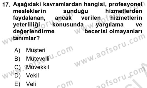 Endüstri Sosyolojisi Dersi 2022 - 2023 Yılı Yaz Okulu Sınav Soruları 17. Soru