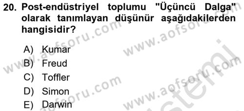 Endüstri Sosyolojisi Dersi 2022 - 2023 Yılı Yaz Okulu Sınav Soruları 20. Soru