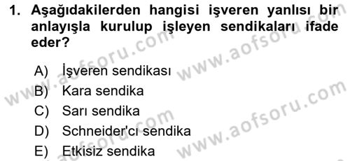 Endüstri Sosyolojisi Dersi 2023 - 2024 Yılı (Vize) Ara Sınav Soruları 1. Soru