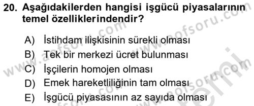 Endüstri Sosyolojisi Dersi 2023 - 2024 Yılı (Vize) Ara Sınav Soruları 20. Soru