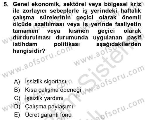 Endüstri Sosyolojisi Dersi 2023 - 2024 Yılı (Vize) Ara Sınav Soruları 5. Soru