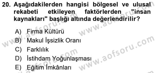 Endüstri Sosyolojisi Dersi 2023 - 2024 Yılı (Final) Dönem Sonu Sınav Soruları 20. Soru