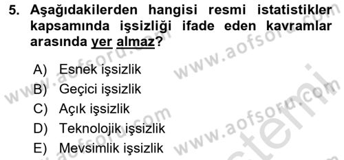 Endüstri Sosyolojisi Dersi 2023 - 2024 Yılı (Final) Dönem Sonu Sınav Soruları 5. Soru