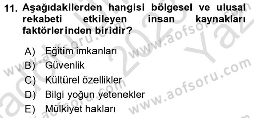 Endüstri Sosyolojisi Dersi 2023 - 2024 Yılı Yaz Okulu Sınav Soruları 11. Soru