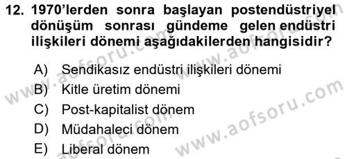 Endüstri Sosyolojisi Dersi 2023 - 2024 Yılı Yaz Okulu Sınav Soruları 12. Soru