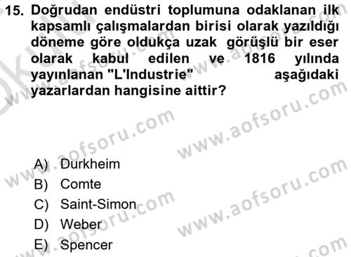 Endüstri Sosyolojisi Dersi 2023 - 2024 Yılı Yaz Okulu Sınav Soruları 15. Soru