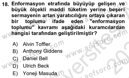 Endüstri Sosyolojisi Dersi 2023 - 2024 Yılı Yaz Okulu Sınav Soruları 18. Soru