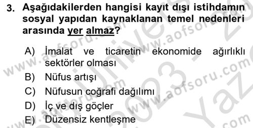 Endüstri Sosyolojisi Dersi 2023 - 2024 Yılı Yaz Okulu Sınav Soruları 3. Soru