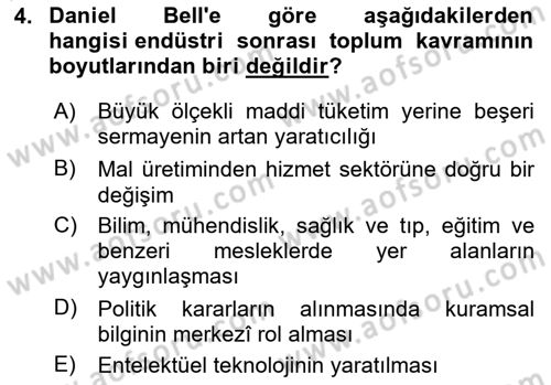 Endüstri Sosyolojisi Dersi 2023 - 2024 Yılı Yaz Okulu Sınav Soruları 4. Soru