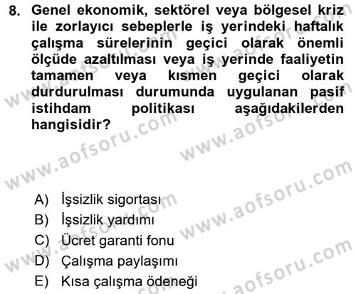 Endüstri Sosyolojisi Dersi 2023 - 2024 Yılı Yaz Okulu Sınav Soruları 8. Soru