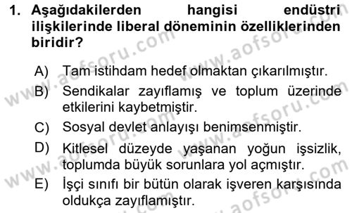 Endüstri Sosyolojisi Dersi 2024 - 2025 Yılı (Vize) Ara Sınav Soruları 1. Soru