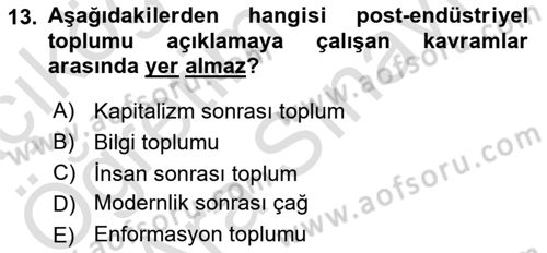 Endüstri Sosyolojisi Dersi 2024 - 2025 Yılı (Vize) Ara Sınav Soruları 13. Soru