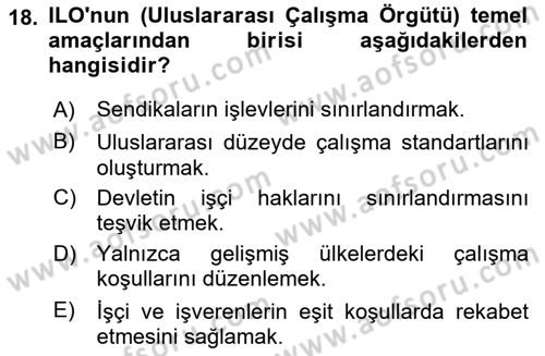 Endüstri Sosyolojisi Dersi 2024 - 2025 Yılı (Vize) Ara Sınav Soruları 18. Soru