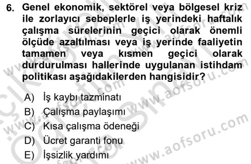 Endüstri Sosyolojisi Dersi 2024 - 2025 Yılı (Vize) Ara Sınav Soruları 6. Soru