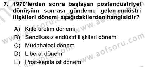 Endüstri Sosyolojisi Dersi 2024 - 2025 Yılı (Vize) Ara Sınav Soruları 7. Soru