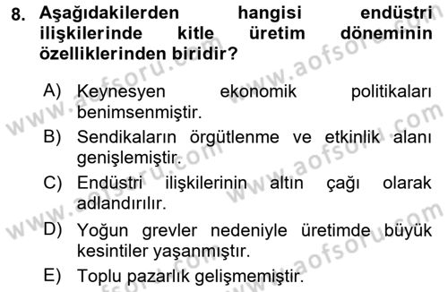 Endüstri Sosyolojisi Dersi 2024 - 2025 Yılı (Vize) Ara Sınav Soruları 8. Soru
