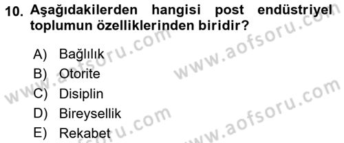 Endüstri Sosyolojisi Dersi 2024 - 2025 Yılı (Final) Dönem Sonu Sınav Soruları 10. Soru