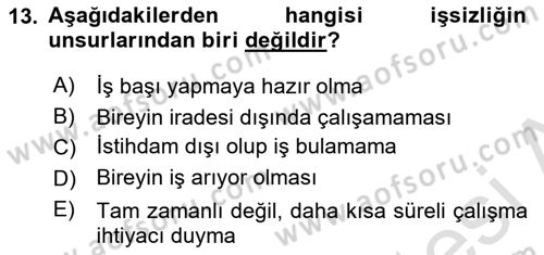 Endüstri Sosyolojisi Dersi 2024 - 2025 Yılı (Final) Dönem Sonu Sınav Soruları 13. Soru