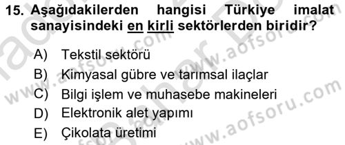 Endüstri Sosyolojisi Dersi 2024 - 2025 Yılı (Final) Dönem Sonu Sınav Soruları 15. Soru