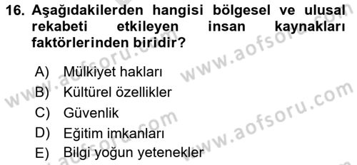 Endüstri Sosyolojisi Dersi 2024 - 2025 Yılı (Final) Dönem Sonu Sınav Soruları 16. Soru