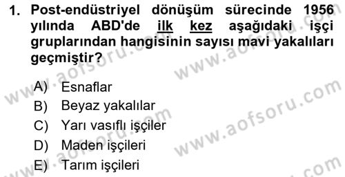 Endüstri Sosyolojisi Dersi 2025 - 2026 Yılı (Vize) Ara Sınav Soruları 1. Soru