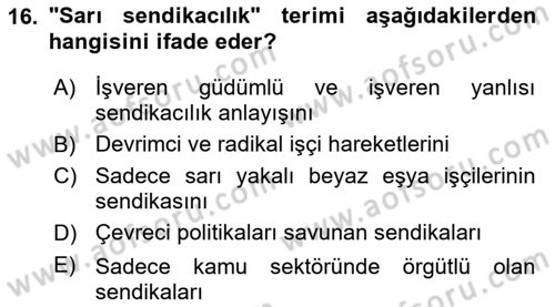 Endüstri Sosyolojisi Dersi 2025 - 2026 Yılı (Vize) Ara Sınav Soruları 16. Soru